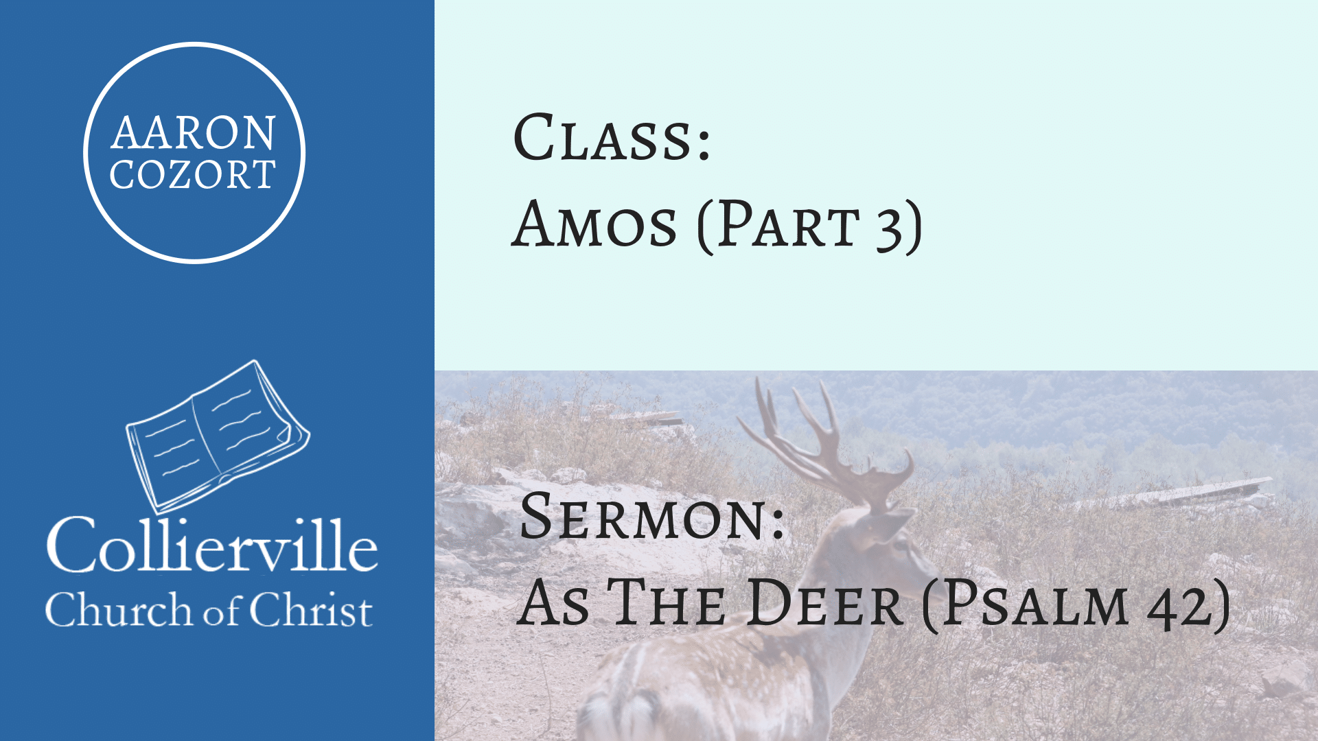 Featured image for “06-25-2023 – Amos (Part 3) – AM Class”