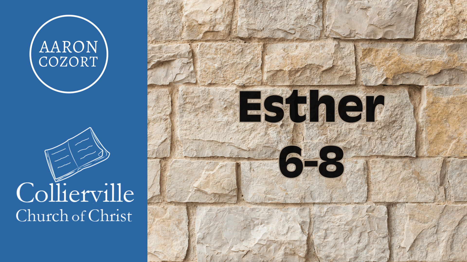 Featured image for “Esther 6 (Part 2) – 8”