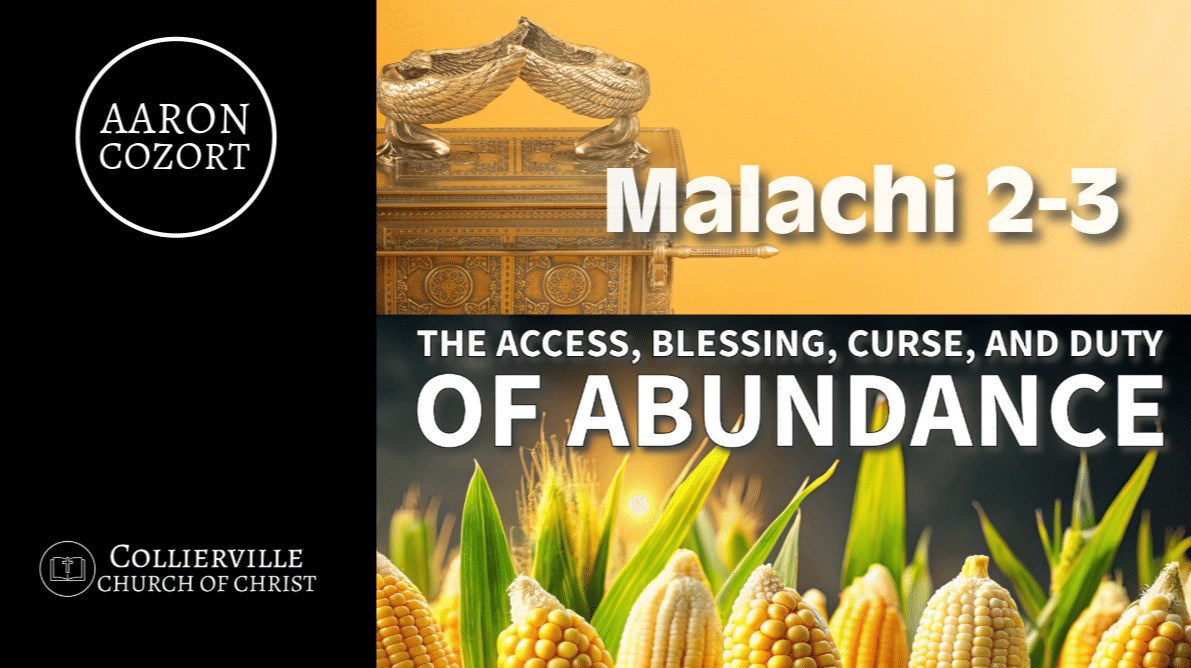 Featured image for “11-24-2024 – The Access, Blessing, Curse, and Duty of Abundance – (Part 3) – (AM Sermon)”